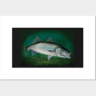 Striped Bass in Blue Green Depths, Ocean Fishing Posters and Art